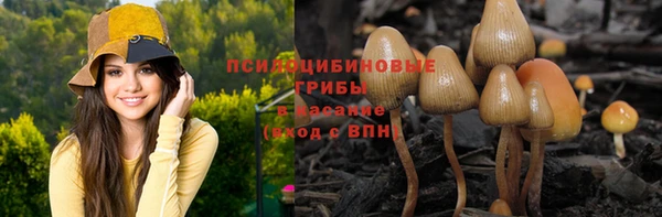твердый Алексеевка