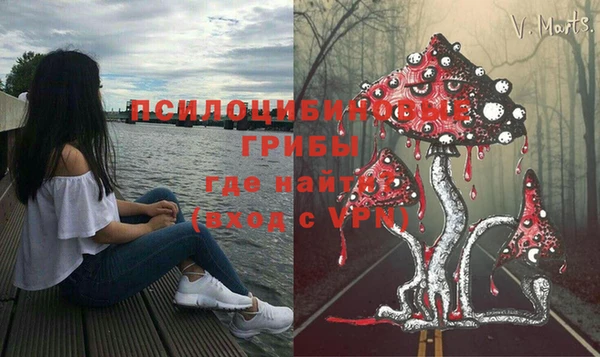 PSILOCYBIN Алексин