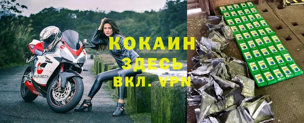 твердый Алексеевка