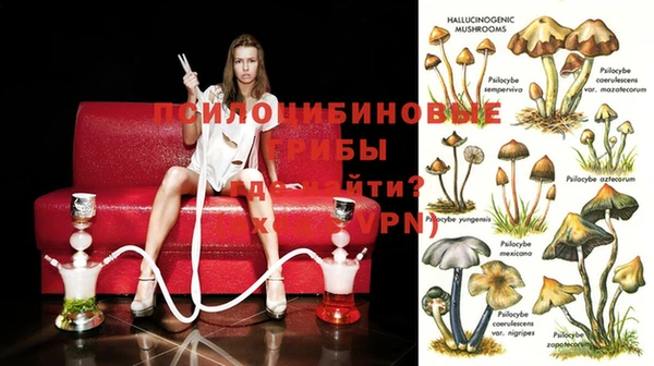 PSILOCYBIN Алексин